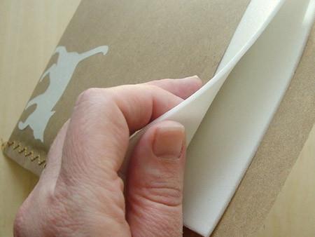 Padded Envelope